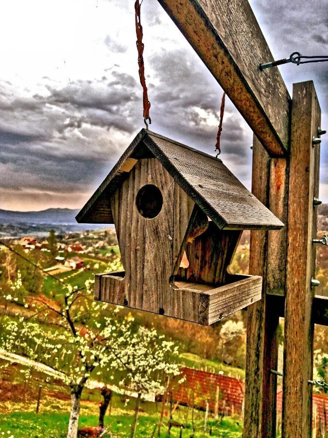 Vineyard Cottage Podrzaj Otočec Extérieur photo